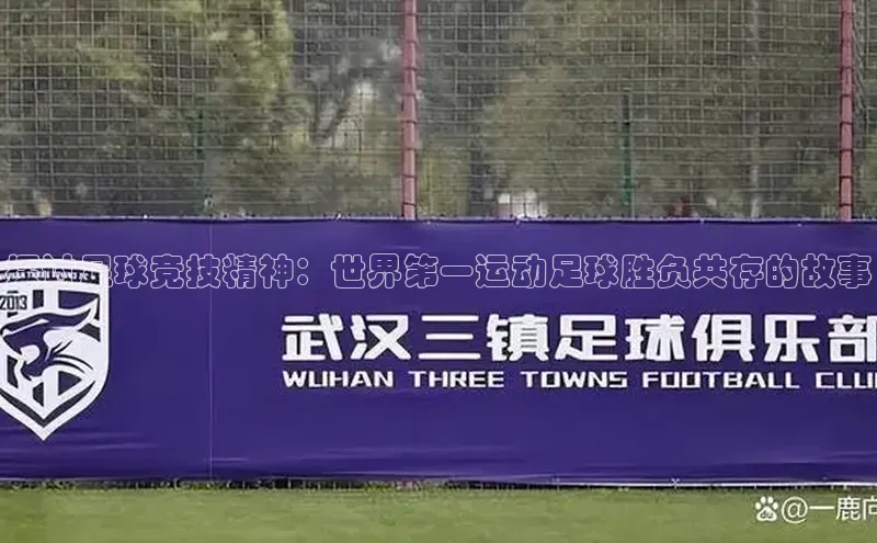 k1体育下载中文在线探讨足球竞技精神：世界第一运动足球胜负共存的故事