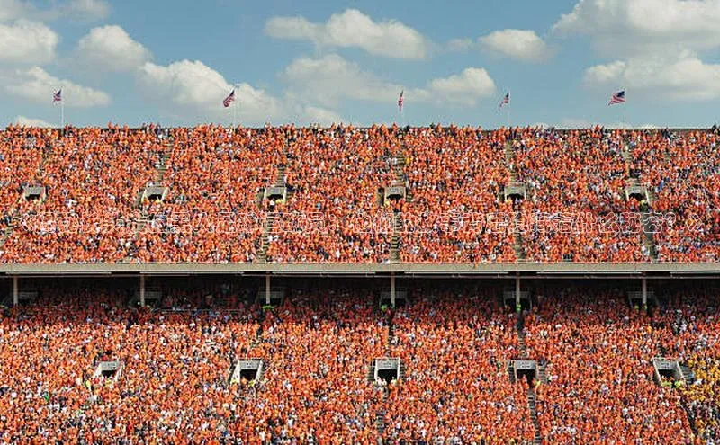 k1体育app登录平台在线猫眼《揭秘长头发的黑人足球运动员：他们的故事背后隐藏着什么秘密？》