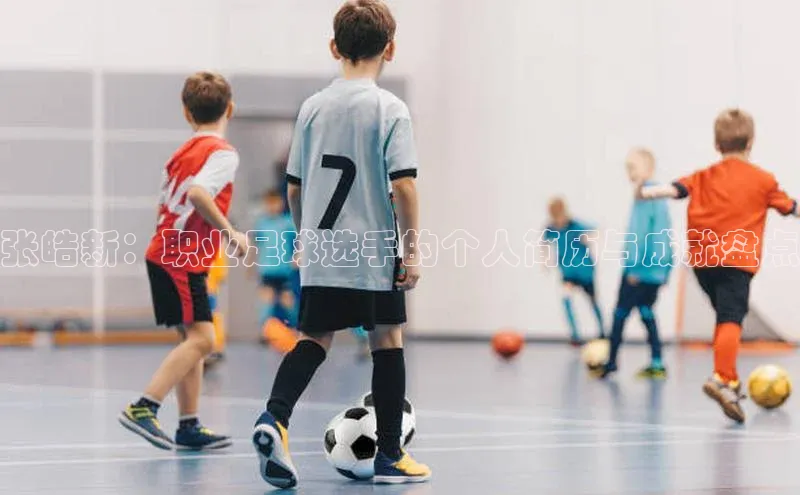 k1体育文心一言张皓新：职业足球选手的个人简历与成就盘点