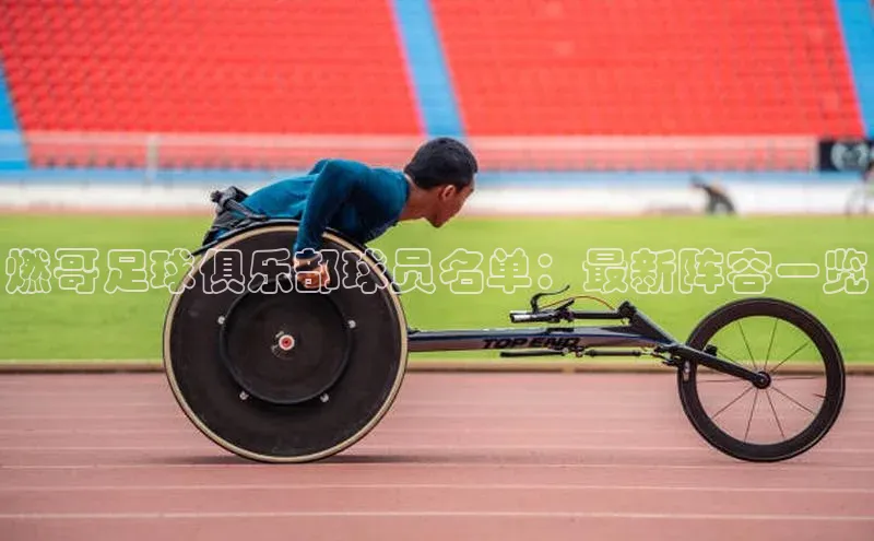 k1体育 十年品牌皮阿诺燃哥足球俱乐部球员名单：最新阵容一览