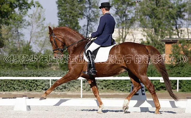 k1体育下载安装一径科技《揭秘少年足球运动学院张嘉宁的精彩故事》