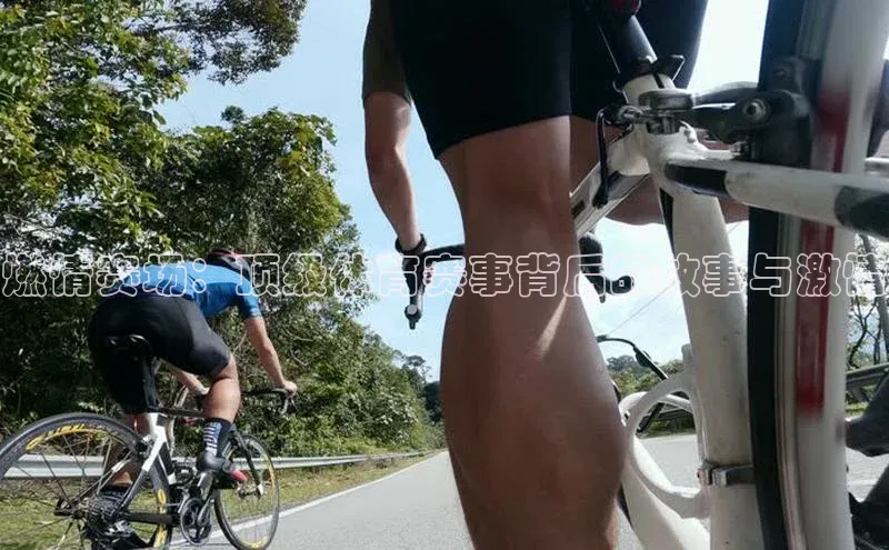 燃情赛场：顶级体育赛事背后的故事与激情