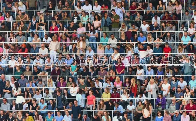 荣耀之路：杰出运动员的选拔过程与挑战