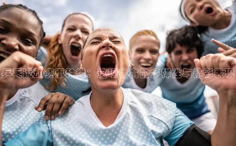 乒乓运动赛事种类：这项体育的多样性与精彩表现