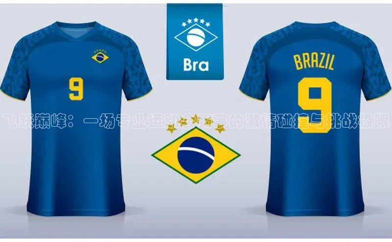 飞跃巅峰：一场专业运动会赛事的激情碰撞与挑战极限