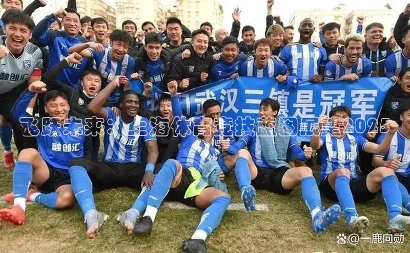 飞跃未来：上海体育竞技蓝图展望2025