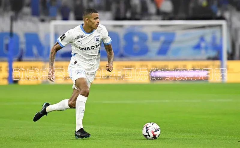 动感盛宴：2023年国际体育赛事日程