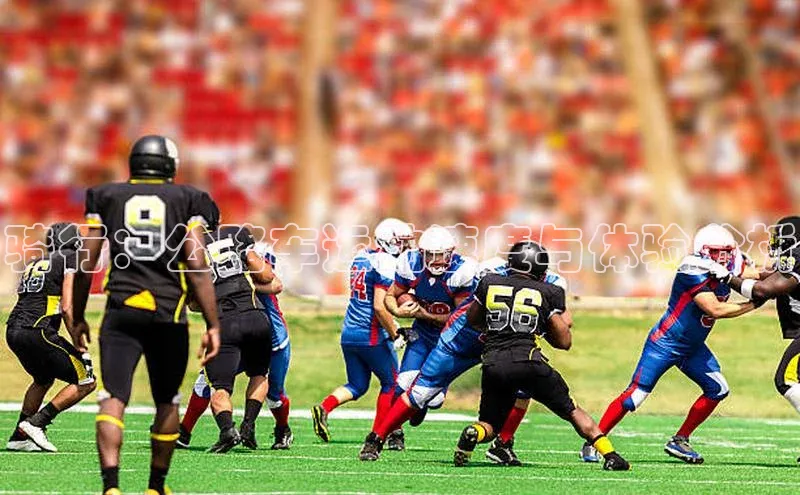 骑行：公路车运动速度与体验分析