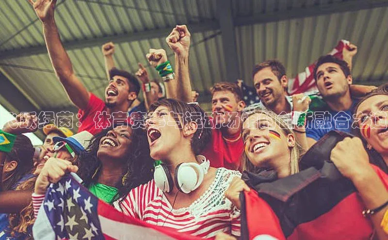 飞跃绿茵：体育赛事与运动场馆的创新融合之道