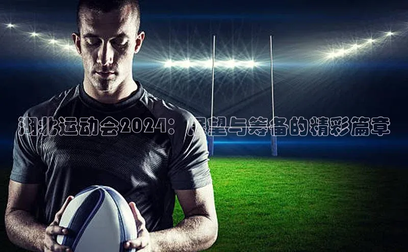 湖北运动会2024：展望与筹备的精彩篇章