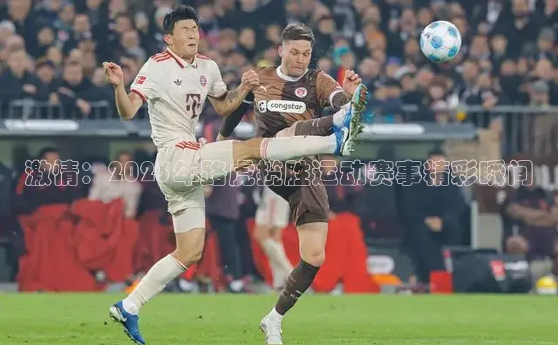 激情：2023年路虎揽胜运动赛事精彩瞬间